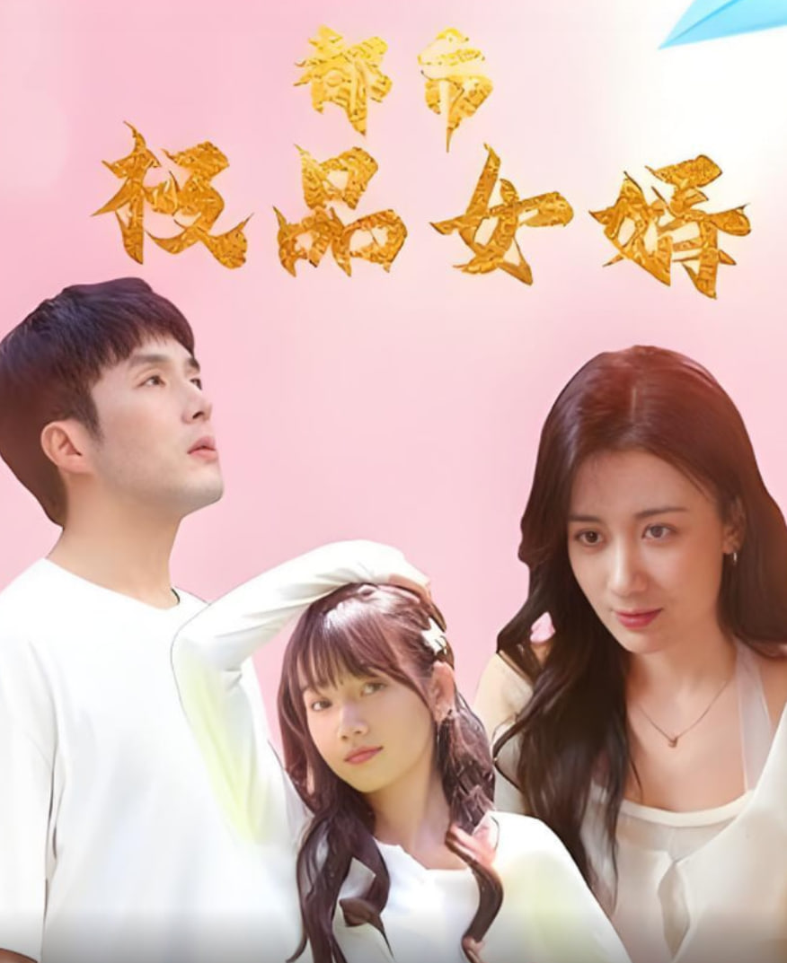 都市极品女婿（都市逍遥女婿）封面