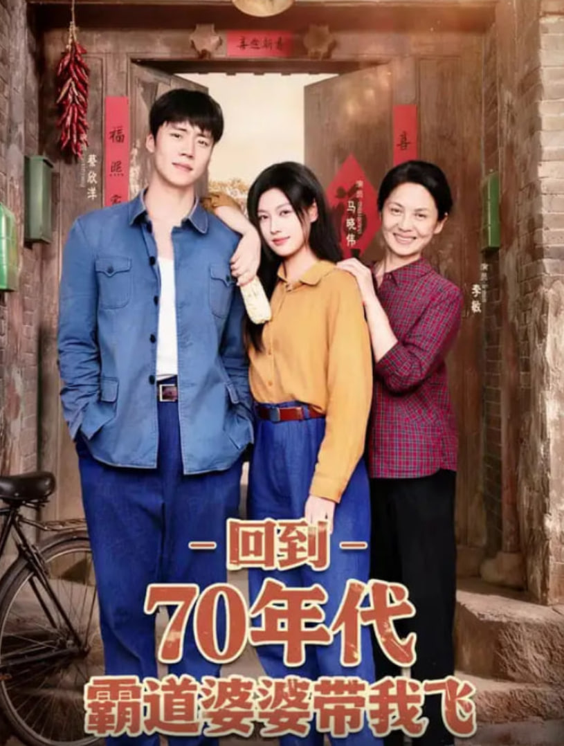回到70年代霸道婆婆带我飞封面