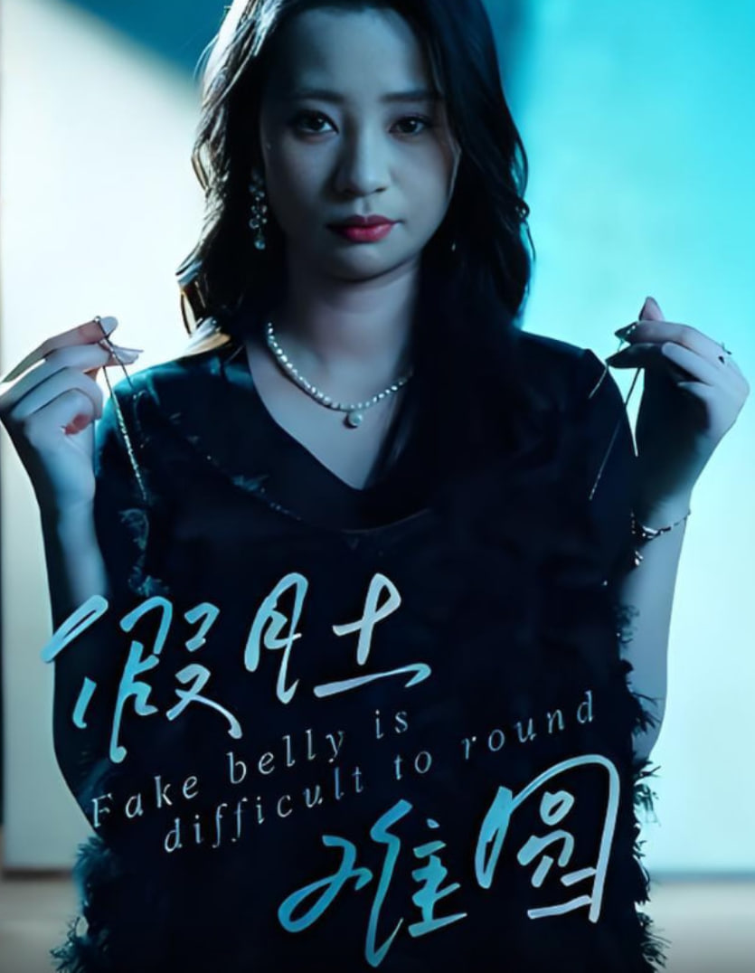 假肚难圆封面