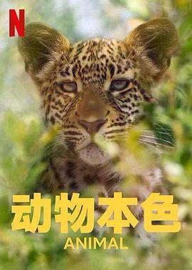 动物本色 第二季封面