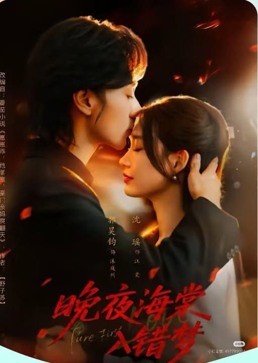 晚夜海棠入错梦封面