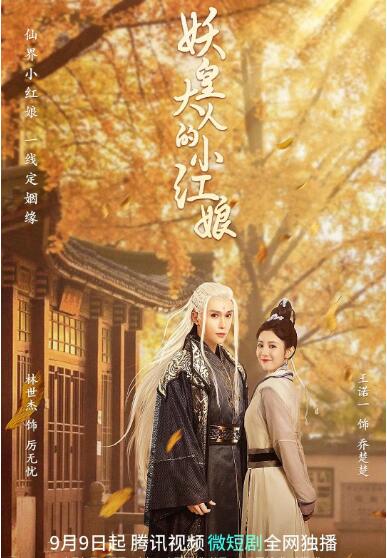 妖皇大人的小红娘封面