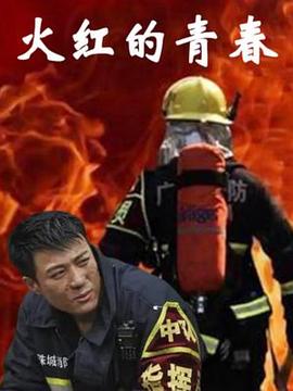 火红的青春封面