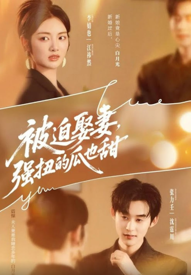被迫娶妻强扭的瓜也甜（被迫娶妻，强扭的瓜也甜）封面