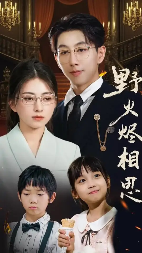 野火烬相思封面