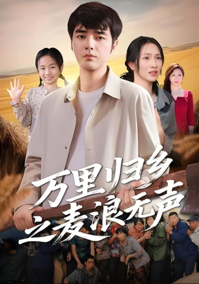 万里归乡之麦浪无声封面