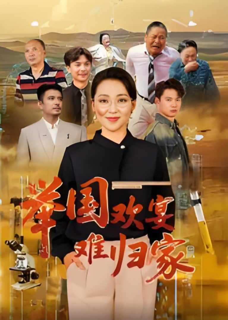 举国欢宴难归家封面