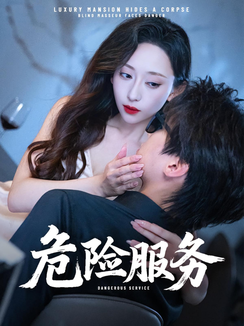 危险服务封面
