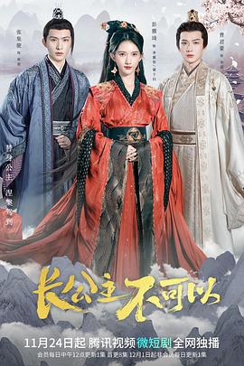 长公主不可以封面