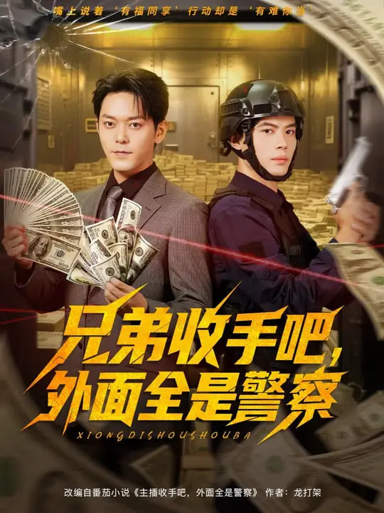 兄弟收手吧，外面全是警察（兄弟收手吧外面全是警察）封面