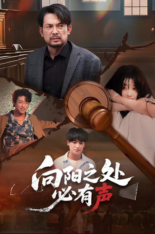 向阳之处必有声封面