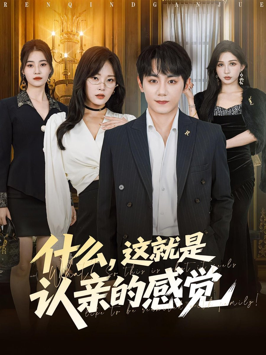 什么，这就是认亲的感觉（什么这就是认亲的感觉）封面