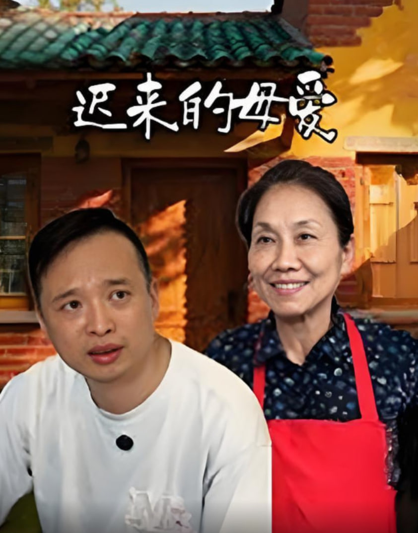 迟来的母爱封面