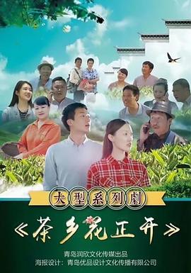 茶乡花正开封面