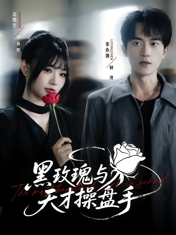黑玫瑰与天才操盘手封面