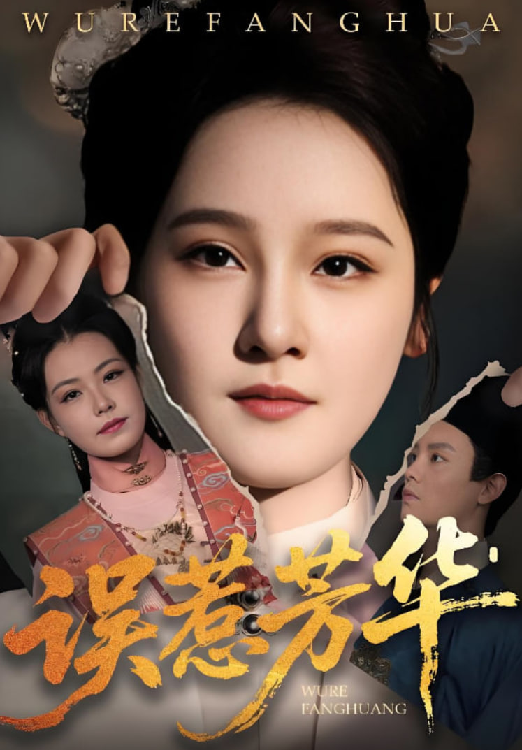 误惹芳华封面