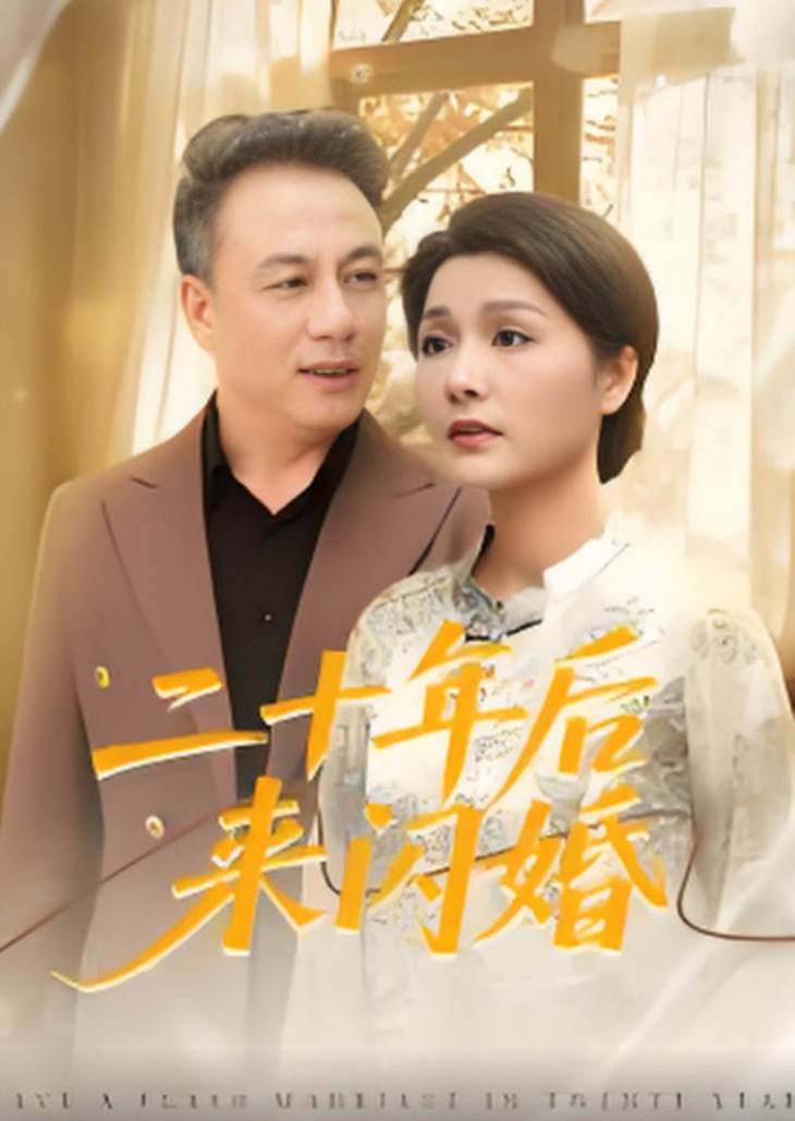 二十年后来闪婚封面