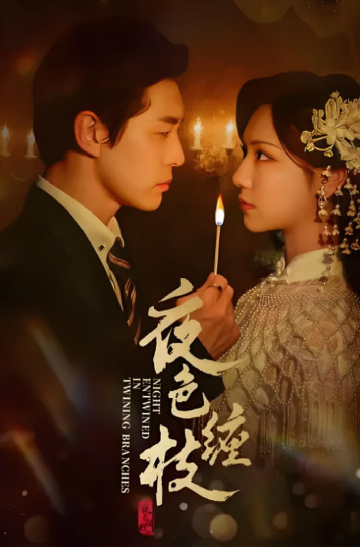 夜色缠枝封面