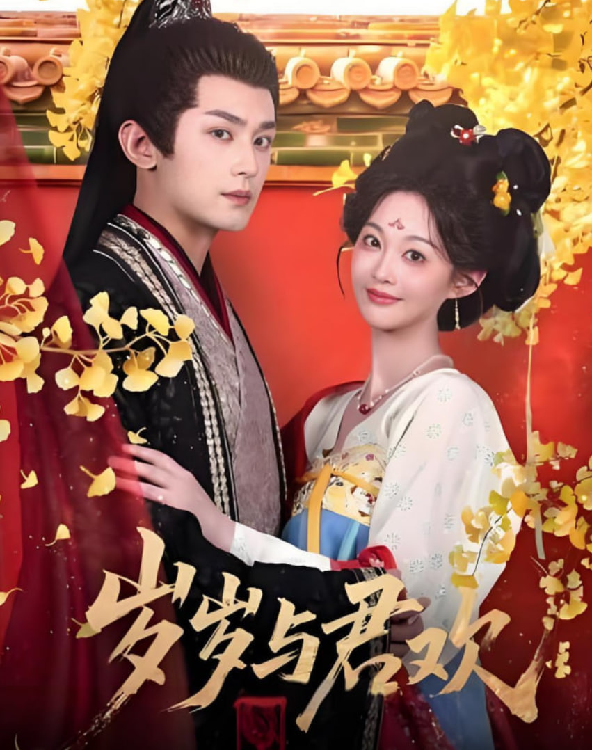 岁岁与君欢封面