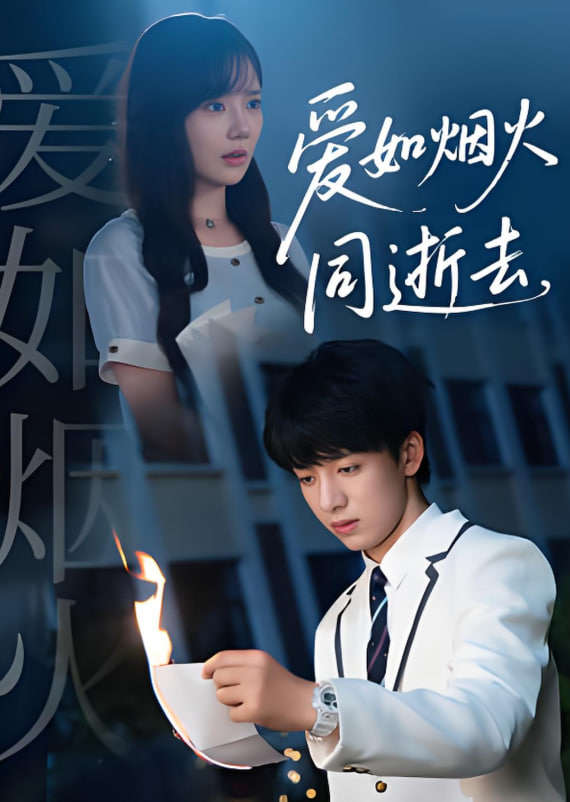 爱如烟火同逝去封面