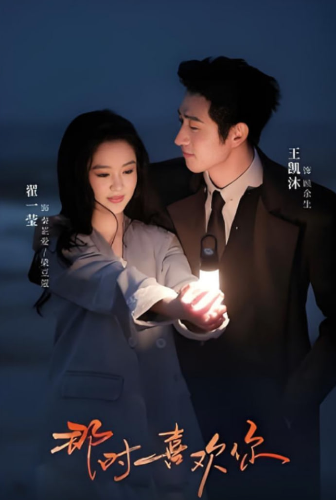 那时喜欢你封面