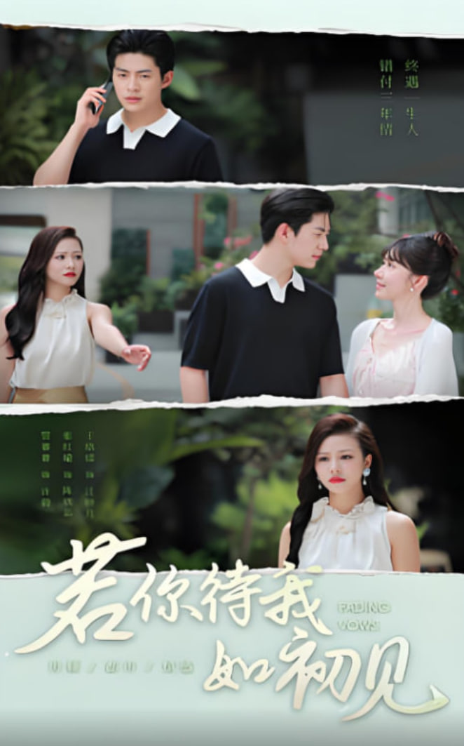 若你待我如初见封面