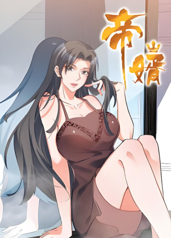 帝婿封面