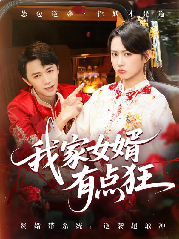 我家女婿有点狂封面