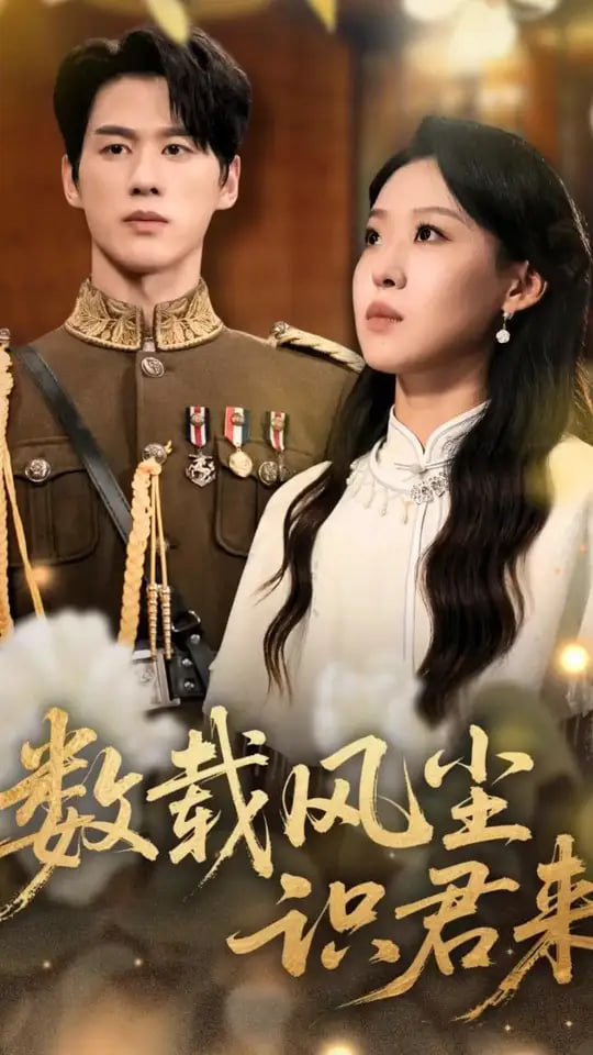 数载风尘识君来封面