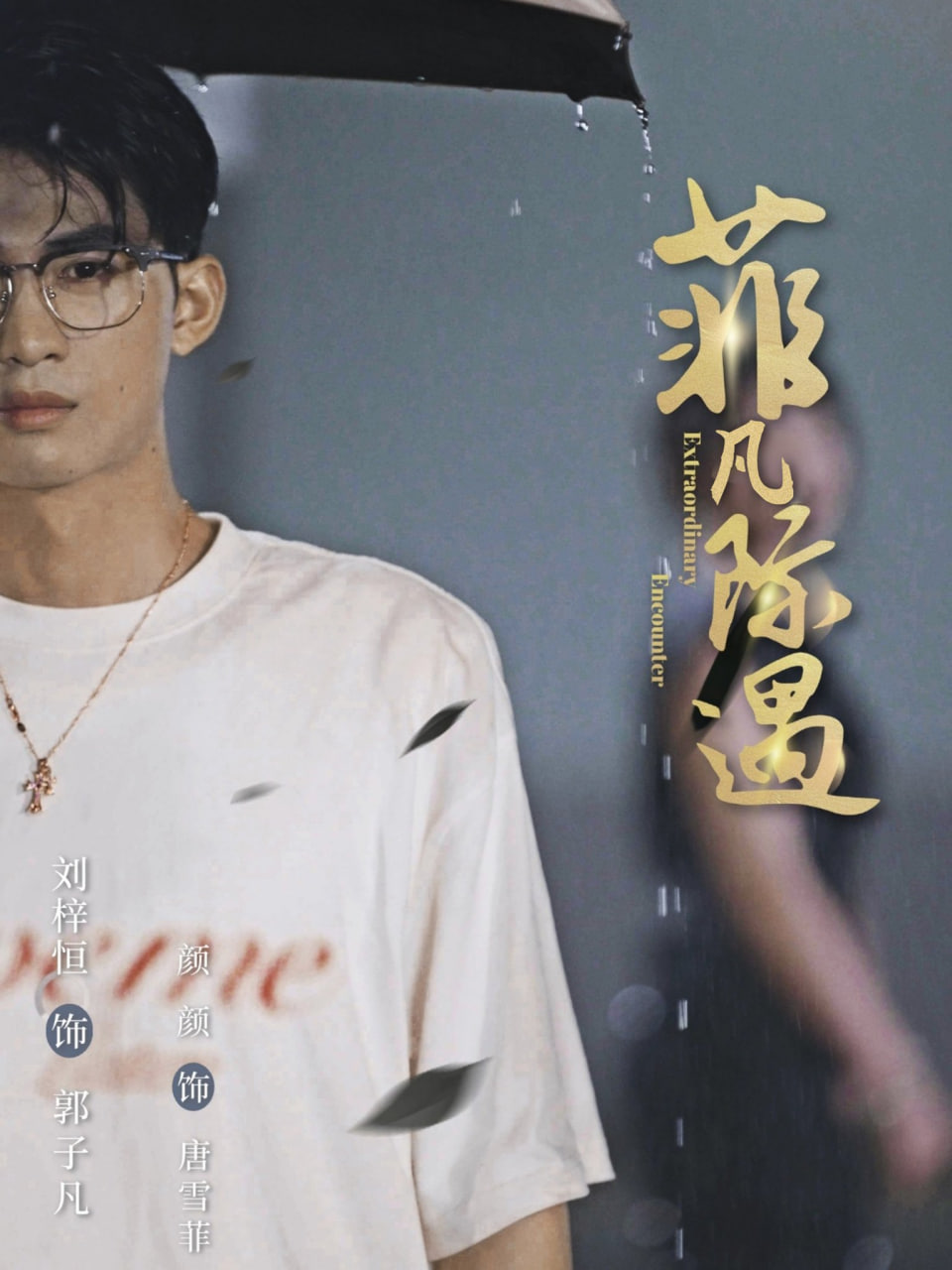 菲凡际遇封面