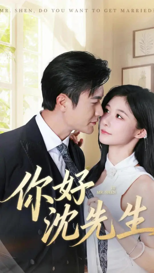 你好沈先生封面