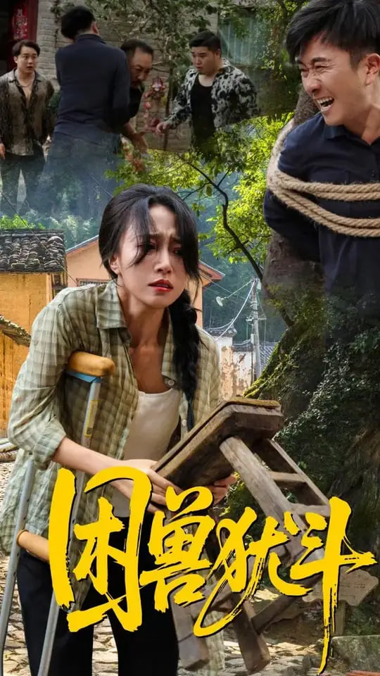 困兽犹斗封面