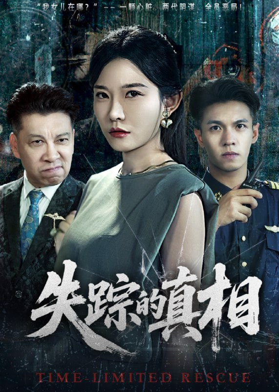 失踪的真相封面