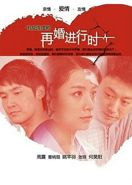 再婚进行时封面