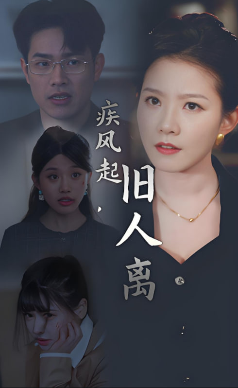 疾风起旧人离封面