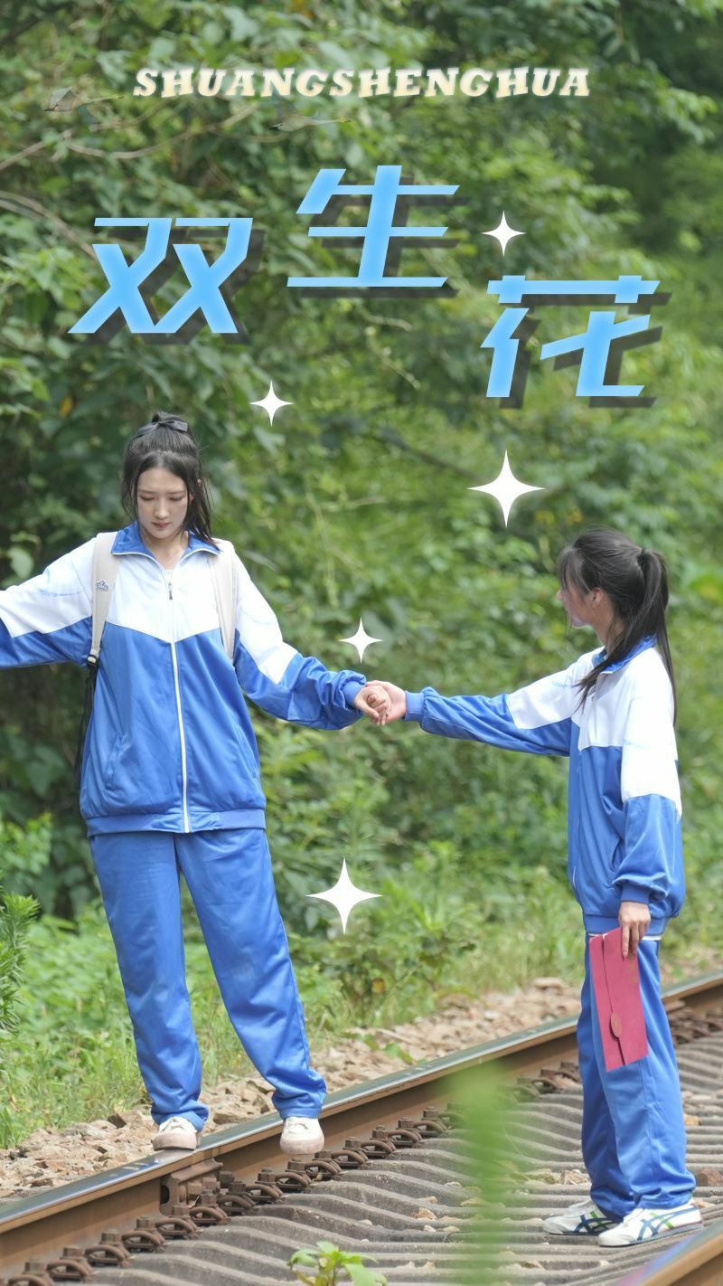 双生花封面