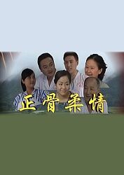 正骨柔情封面