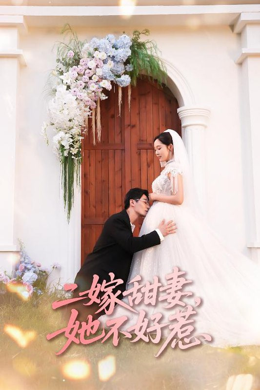 二嫁甜妻她不好惹封面