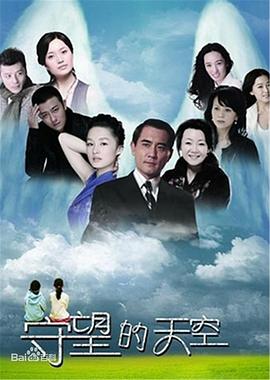 守望的天空封面