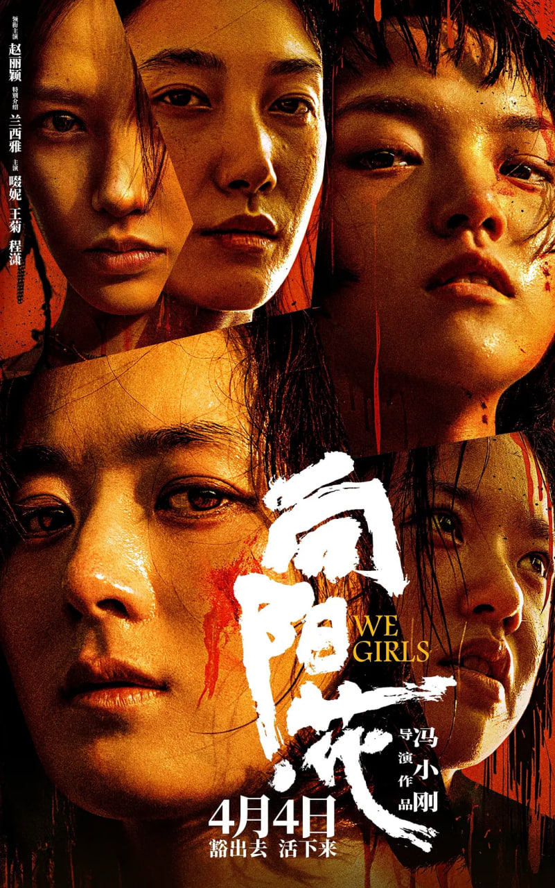 向阳·花封面