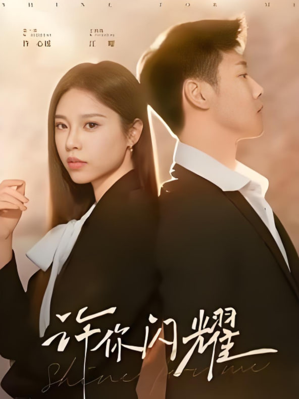 许你闪耀封面