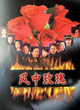 风中玫瑰封面