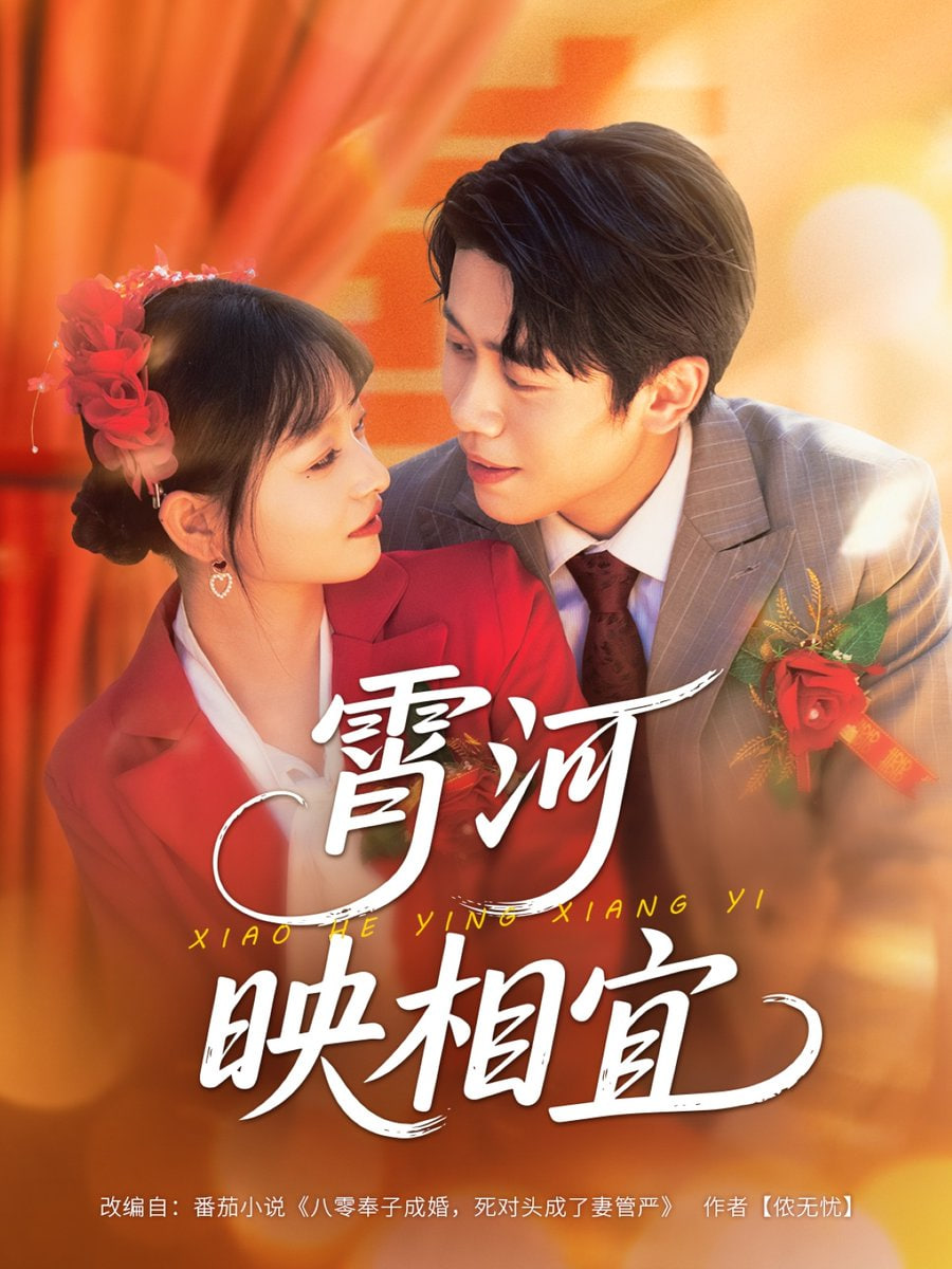 霄河映相宜封面