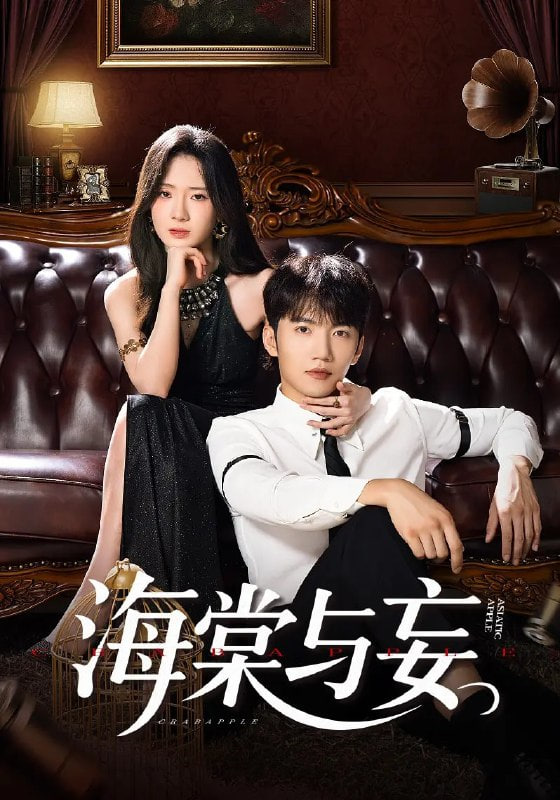 海棠与妄封面