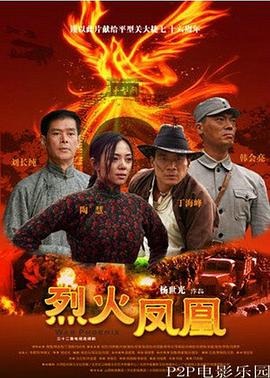 烈火凤凰封面