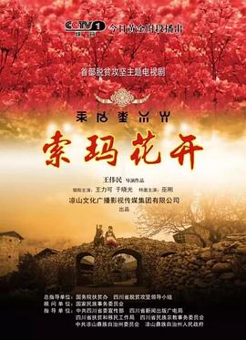 索玛花开封面