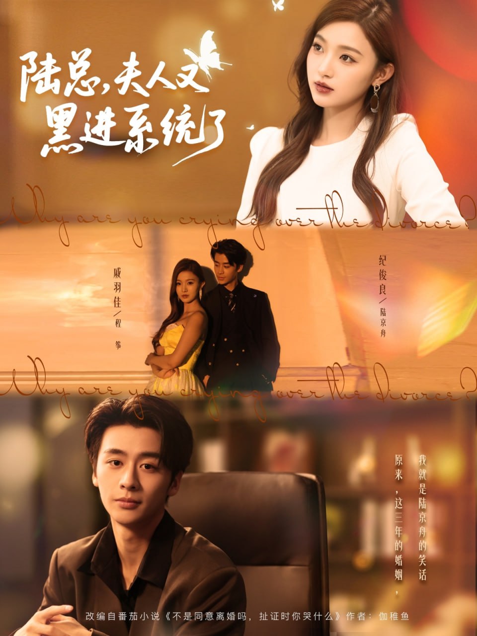 陆总夫人又黑进系统了封面