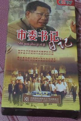 市委书记日记封面