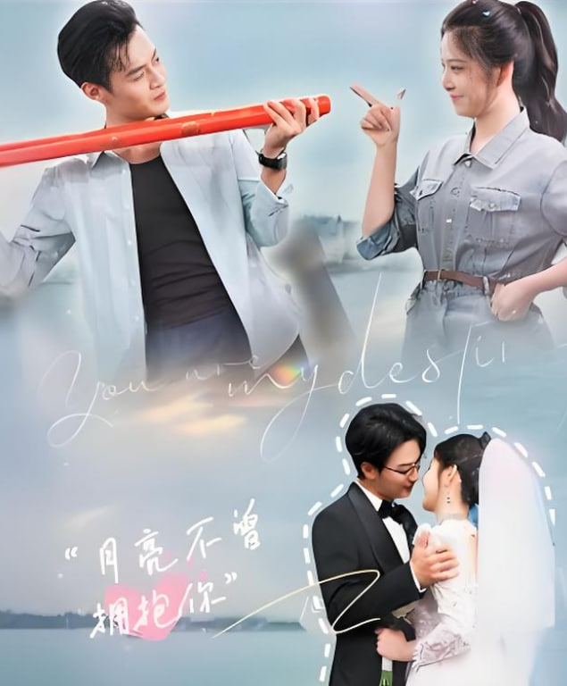 月亮不曾拥抱你封面