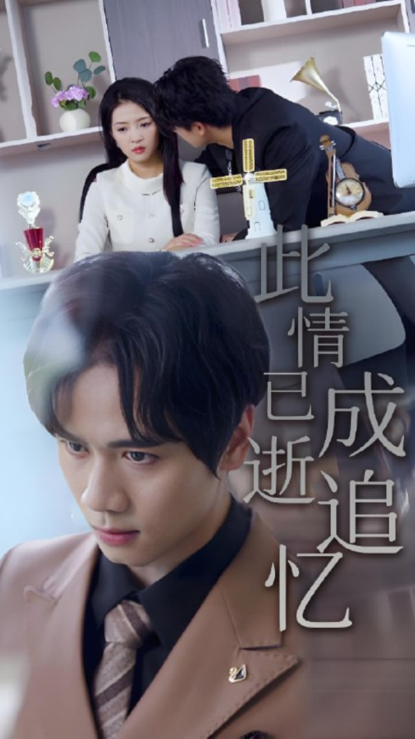 此情已逝成追忆封面